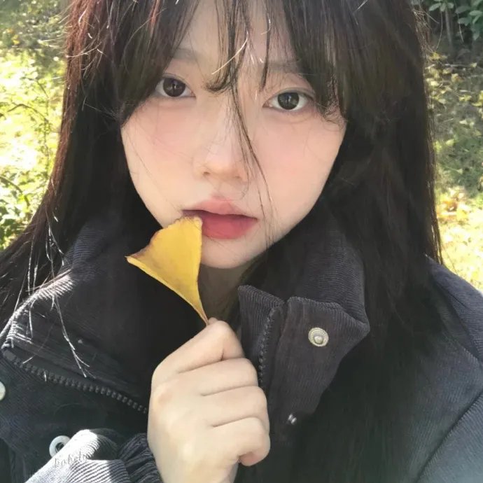 白母牛之歌